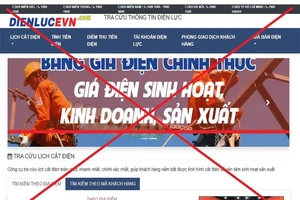 Xuất hiện trang web giả mạo thương hiệu EVN