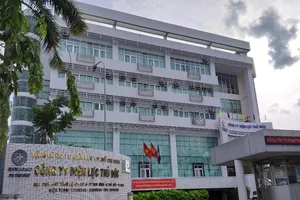 Thành lập Công ty Điện lực Thành phố Thủ Đức, TP.HCM