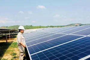 2 doanh nghiệp điện mặt trời ở Long An bị xử phạt