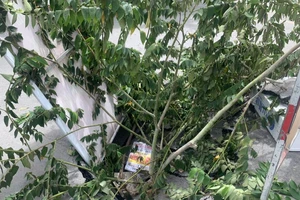 Hố sụp giữa giao lộ ở phường Hiệp Bình Chánh, TP Thủ Đức 