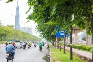 Hàng loạt biển báo ở TP.HCM bị che khuất, đánh đố người nhìn