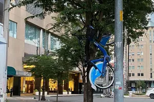 1 chiếc xe đạp công cộng ở TP.HCM bị treo lên cành cây 