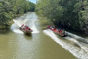 Phương án nào phát triển du lịch đường thủy ở huyện Cần Giờ?