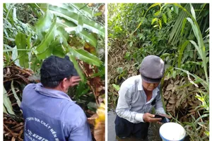 TP.HCM sẽ khen thưởng nhiều đơn vị đẩy nhanh tiến độ dự án vành đai 3