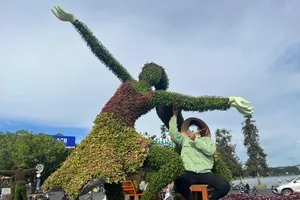TP Đà Lạt trưng bày tiểu cảnh mới lạ chào đón Festival Hoa Đà Lạt lần thứ IX