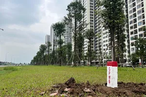 Hoàn thành cắm mốc vành đai 3 TP.HCM, công việc tiếp theo cần làm gì?