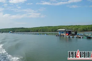 Diện mạo xã đảo Thạnh An, Cần Giờ đang đổi thay từng ngày