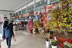 Cao điểm ‘tàu xe’ chở người dân về quê ăn tết