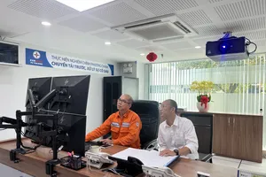 Điện lực TP.HCM triển khai nhiều công tác trong ngày đầu năm mới