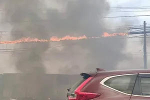 Điện lực Miền Nam: Chủ động phòng ngừa tai nạn điện