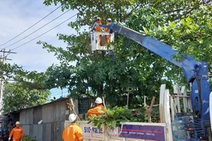 Cảnh báo việc đốt vàng mã làm cháy lan cáp ngầm điện