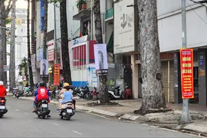 Tháo một số thảm cỏ xanh bọc cột điện, cột đèn ở quận 5, TP.HCM