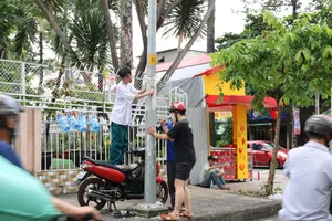 Quận 5 đang tháo dỡ thảm cỏ ốp quanh cột đèn, cột điện