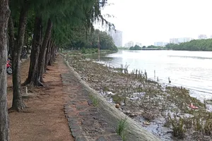 Bình Chánh đề xuất mở phố đêm Trung Sơn