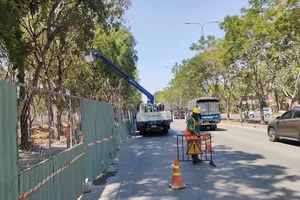 TP.HCM di dời hơn 200 cây xanh để làm dự án nút giao An Phú, TP Thủ Đức