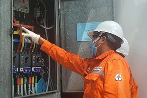 Điện lực TP.HCM đảm bảo cấp điện an toàn, liên tục cho kỳ thi tốt nghiệp THPT