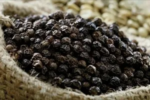 Tân cảng Sài Gòn nói gì về nghi vấn hơn 19 tấn hàng xuất khẩu bị rút ruột?