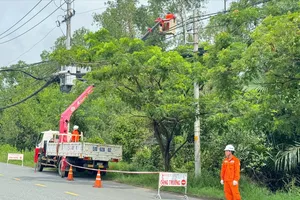 Điện lực TP.HCM tăng cường kiểm tra, đảm bảo toàn điện mùa mưa bão