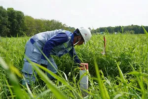 Khi nào chi trả bồi thường dự án cao tốc TP.HCM - Mộc Bài?