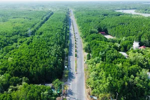 Nghiên cứu lập hồ sơ đề xuất dự án đường sắt đô thị TP.HCM - Cần Giờ