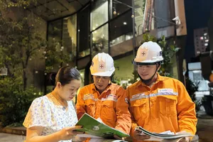 TP.HCM yêu cầu đảm bảo điện trong cao điểm mùa nắng nóng 