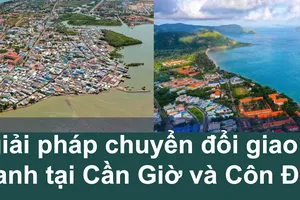 Chi tiết 6 tuyến xe buýt điện mới sẽ hoạt động ở đặc khu Côn Đảo