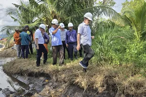 Hơn 800 người thi công xuyên lễ trên các công trình lưới điện khu vực miền Nam