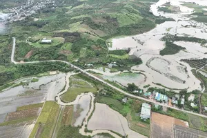 EVNGENCO3: Đảm bảo an toàn bão lũ tại khu vực miền Trung - Tây Nguyên