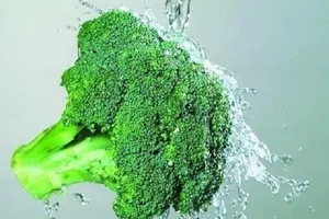 Làm sao phát huy hiệu quả loại rau phòng được 7 loại ung thư?