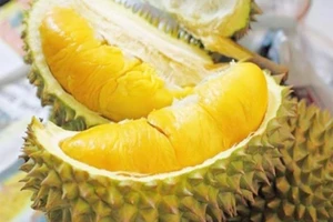 Thái Lan 'mượn' Việt Nam bán sầu riêng cho Trung Quốc