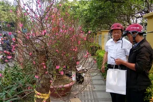 Một mùa Tết buồn với nhiều người bán hoa