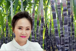 'Công chúa mía đường' nắm trong tay hơn 600 tỉ 