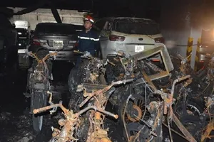 Năm Bảy Bảy không phải là chủ đầu tư chung cư Carina?