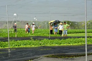 Mới: Khu công nghiệp thu lợi khủng nhờ... xây cao tầng