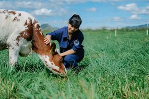 Bất công: Sữa Vinamilk chịu thuế 40%, sữa Thái chỉ 1% 