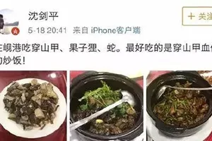 Ăn thịt cầy hương ở VN, sếp công ty Trung Quốc bị sa thải 