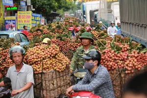 Một góc nhìn khác về thương lái Trung Quốc