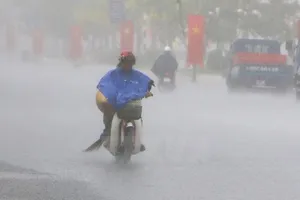 Ảnh minh họa: Nguồn internet