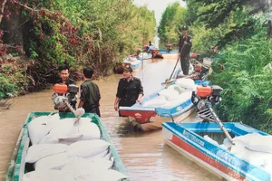 1.001 chiêu hóa kiếp đường Thái thành đường Việt Nam 