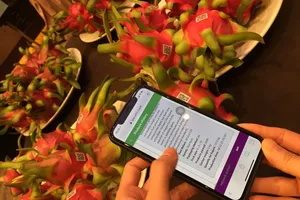 Lần đầu tiên truy lý lịch thanh long Việt Nam bằng blockchain 