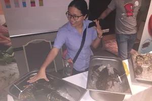 Các loại hải sản như cá hồi, tôm hùm, cua hoàng đế...từ Mỹ sẽ được nhập khẩu vào VN ngày càng nhiều- Ảnh: PM