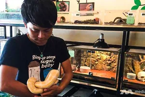 Chea Raty, chủ quán cà phê Reptile Cafe tại Phnom Penh đang giới thiệu một mẫu sinh vật cho khách hàng xem (1)