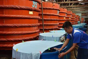 Thông tin mới nhất vụ nước mắm truyền thống cầu cứu Chính phủ