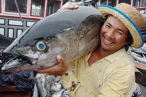 Nguy cơ tất cả sản phẩm thủy hải sản từ khai thác của Việt Nam sẽ bị cấm xuất khẩu vào EU- Ảnh minh họa