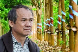 Bầu Đức chia tay cao su sau nhiều năm chịu đựng