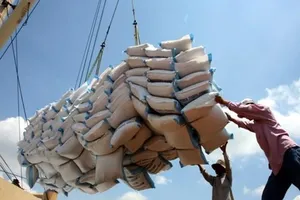 Tình hình giao dịch xuất khẩu gạo trong 6 tháng đầu năm trầm lắng, tiêu thụ nội địa cũng chậm- Ảnh minh họa