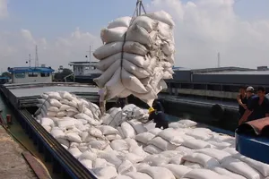 Kêu cứu Thủ tướng Chính phủ vụ đăng ký xuất gạo lúc... 0 giờ
