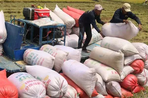  Té ngửa với cú mở cửa đăng ký xuất khẩu gạo lúc nửa đêm