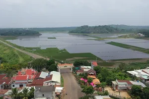 Bà Rịa-Vũng Tàu phạt 2 công ty đưa nhà máy điện mặt trời vào vận hành khi chưa nghiệm thu