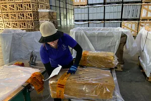 Giãn thuế để hỗ trợ doanh nghiệp: Cần thêm nhiều giải pháp đồng bộ! 